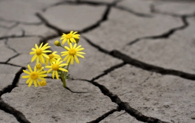psychotherapy - culver city